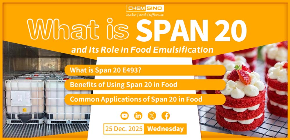 Span 20 とは何か、および食品の乳化におけるその役割